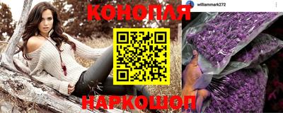 индика Нальчик