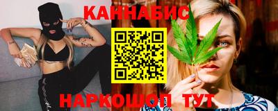 индика Нальчик