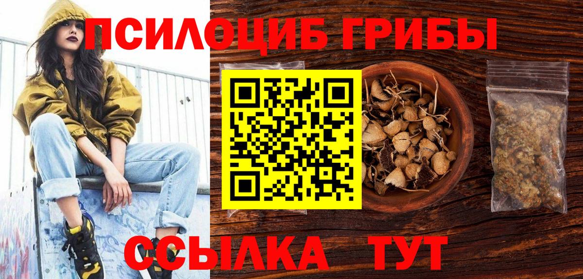 Галлюциногенные грибы прущие грибы  Псилоцибиновые грибы прущие грибы  Чита  Вход с VPN 