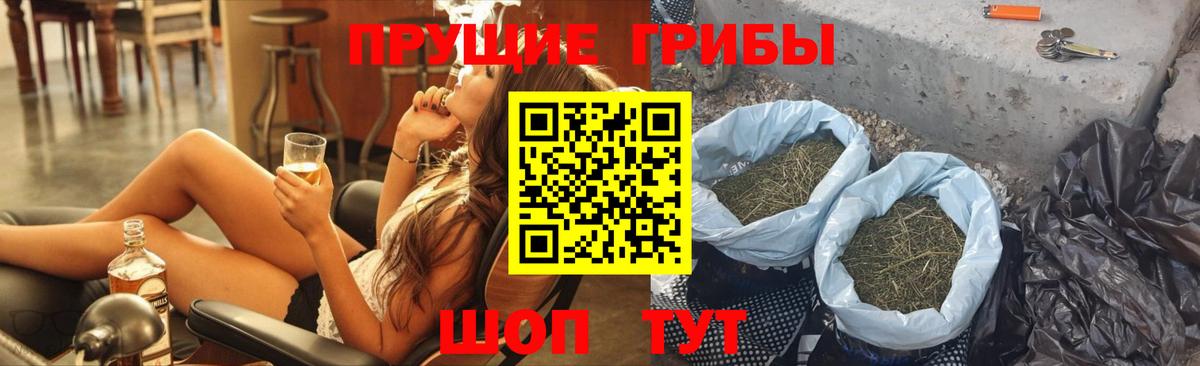 Псилоцибиновые грибы Psilocybe Чита